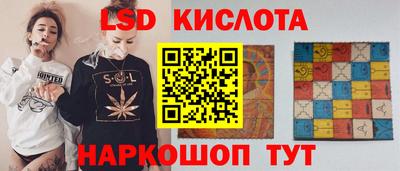 индика Заволжье