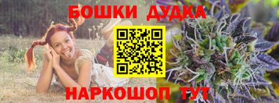 индика Заволжье