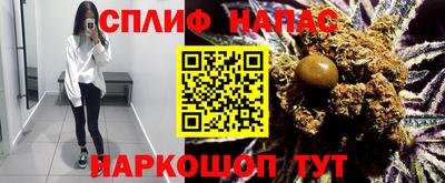 индика Заволжье