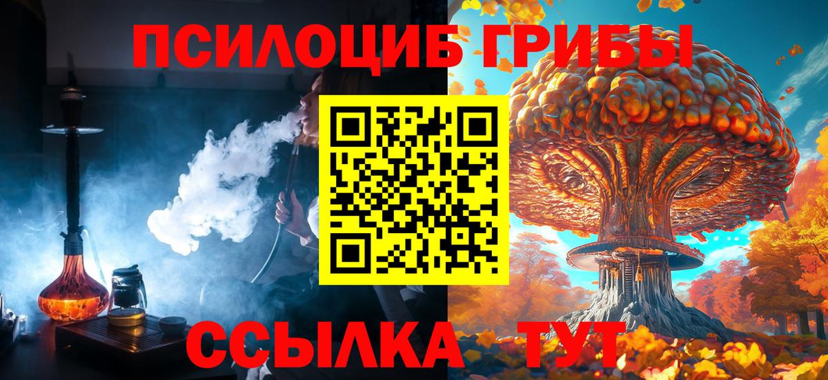 Галлюциногенные грибы Cubensis  Вход с VPN  Мичуринск 
